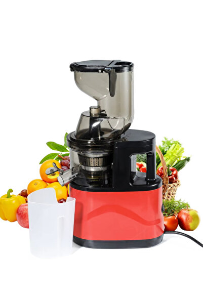 OEM Electric Fruit and Vegetable Juicer 500W, Capacity 500 ml, Efficient Filt...