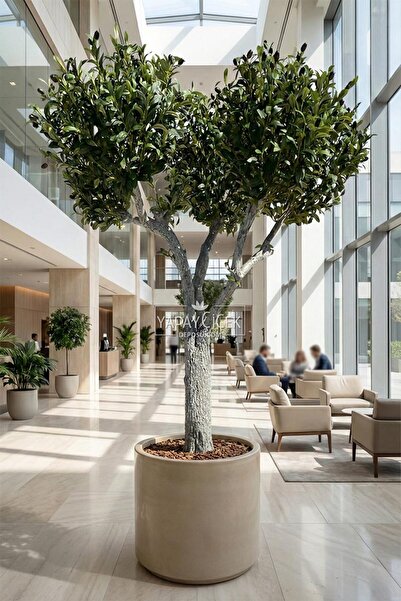 Yapay Çiçek Deposu Yapay Ağaç Premium Plaza Zeytin Ağacı 210 cm