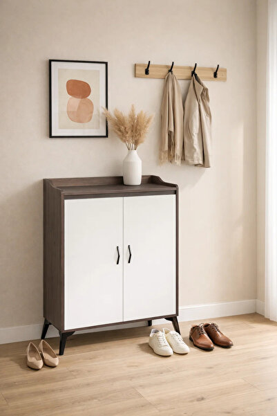 MARIA HOMES Modern Brown and White Shoe Cabinet Two Door Storage Organizer fo...