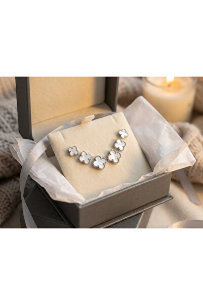 Dorvina 316L Steel Silver White Color 3 Sizes Clover Earrings Set 6 Pieces Ea...