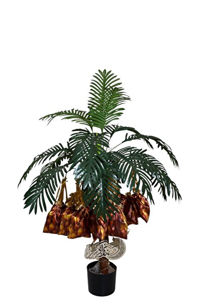 Generic شجرة نخيل توزيعات با اكيس مزينة بتمور