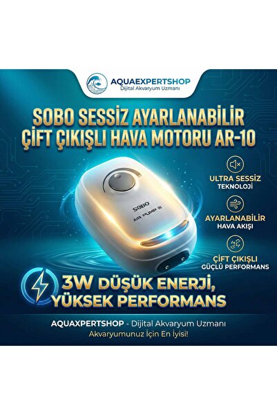 Sobo Sessiz Ayarlanabilir Çift Çıkışlı Hava Motoru AR-10 - 3W