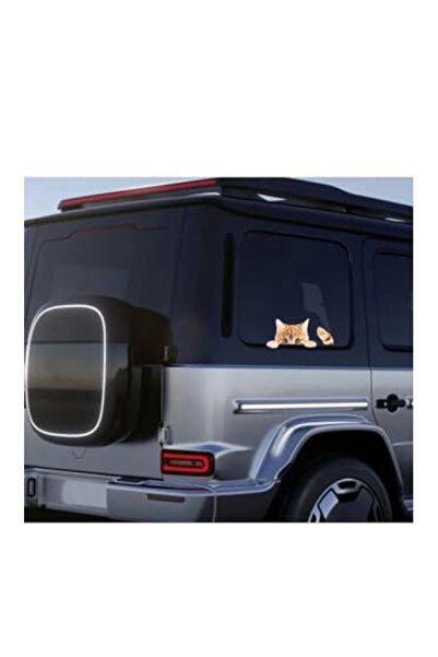 markentegra Sarman Kedi Sticker, Arabalar için Eğlenceli Dekor