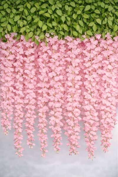 BUSERİSE 12’li Açık Pembe Sarkan Akasya Çiçeği – Nişan Düğün Dekoru, Yapay Sa...