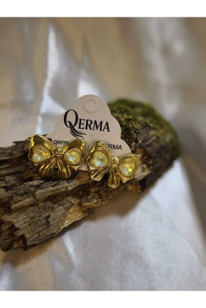 QERMA Steel Earrings