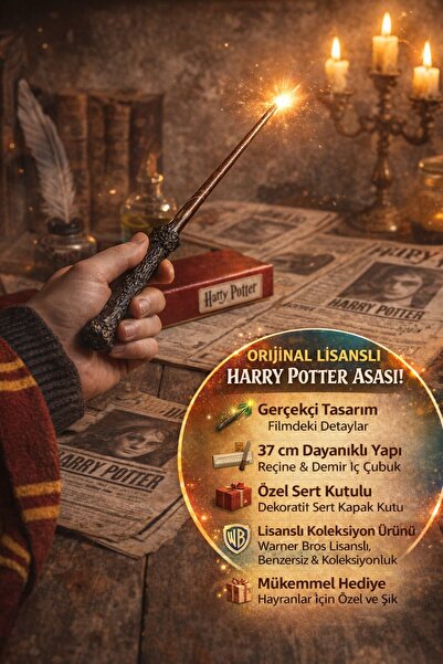 TOYFEST Harry Potter Asa 37 cm Warner Bros Lisanslı Orijinal Kutulu Koleksiyo...