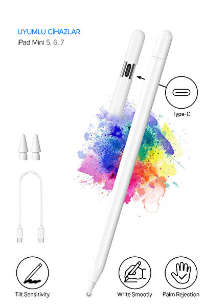 Nezih Case iPad Mini 5-6-7 Compatible Tilt-Sensitive Palm Red Type-C Stylus Pen