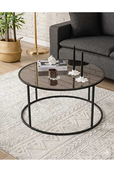 İMS ZİGON DÜNYASI Modern C Orta Sehpa-Statik Boyalı Metal Ayaklı, 4 mm Temper...