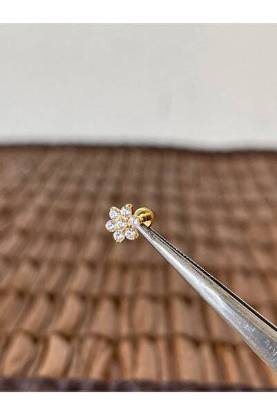 Rupen Kraft Gerçek Titanium G23 TT058 Zirkon Altın Titanyum 7x1.2mm Labret Pi...