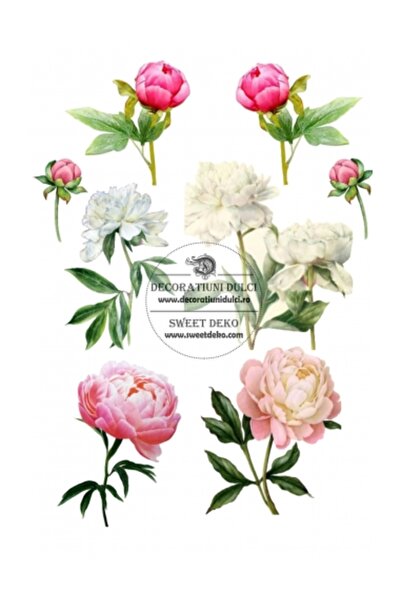 Decoratiuni Dulci Bujori - представете си cometibila - Decupat