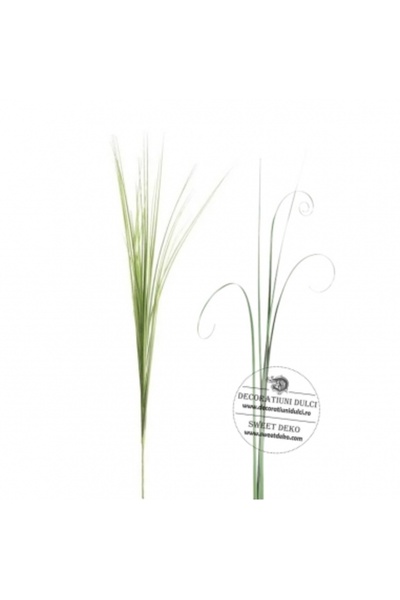 Decoratiuni Dulci Bear grass - green (10 stems)