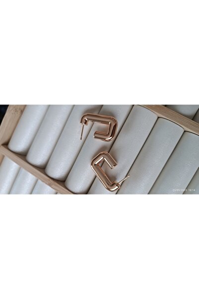 ARİ TAKI Rose Design Steel Earrings