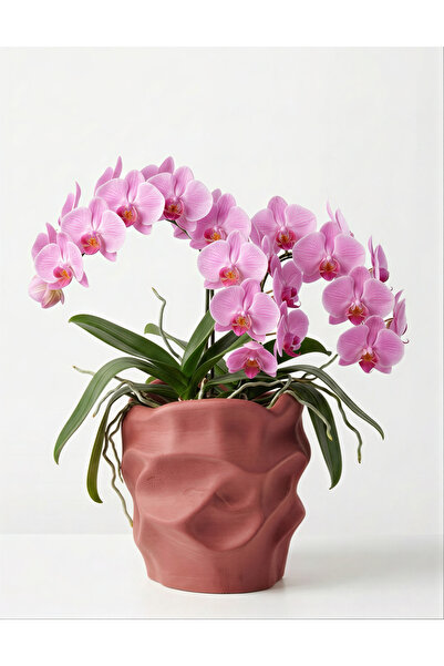 BEBÜTO Dalgalı Beton Saksı 22x20