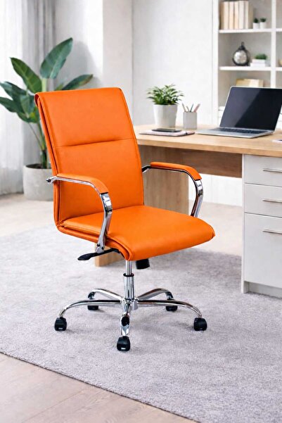 YRN OFIS Ofis Müdür koltuğu büro personel sandalyesi bilgisayar sandalyesi ek...