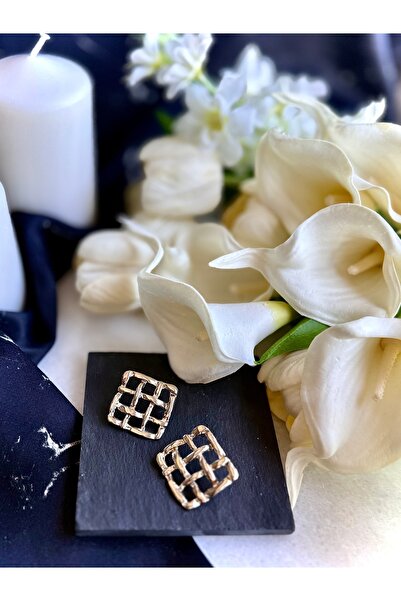 Merishe Jewerly Silver Square Grid Studded Earrings
