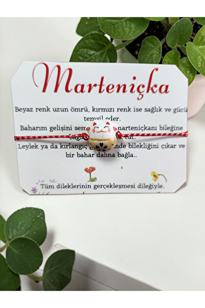 Home سوار القطة المحظوظة من مارتينيشيكا