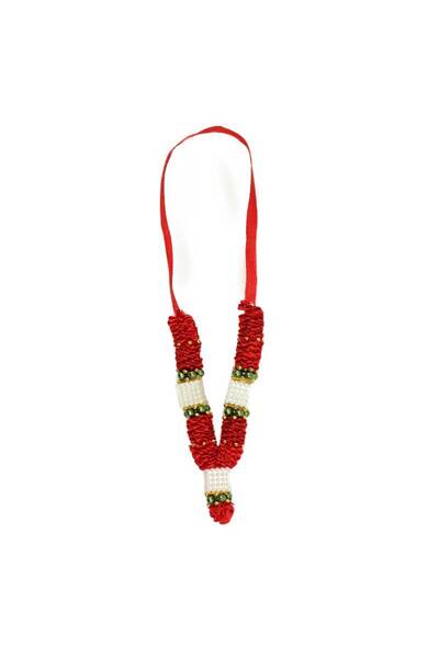 MADHOOR Har 400 Ayurvedic Organic Haritaki Terminalia Chebula Pods