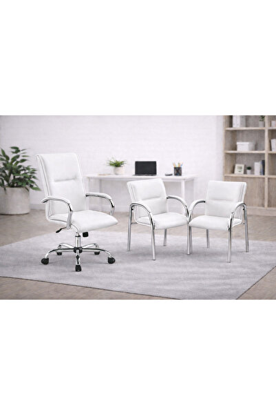 YRN OFIS ofis oturma takımı büro sandalyesı misafir sandalyesi müdür koltuğu ...