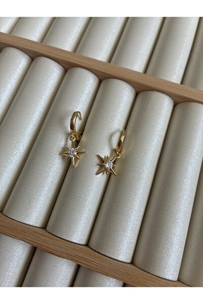 ARİ TAKI North Star Gold Steel Earrings