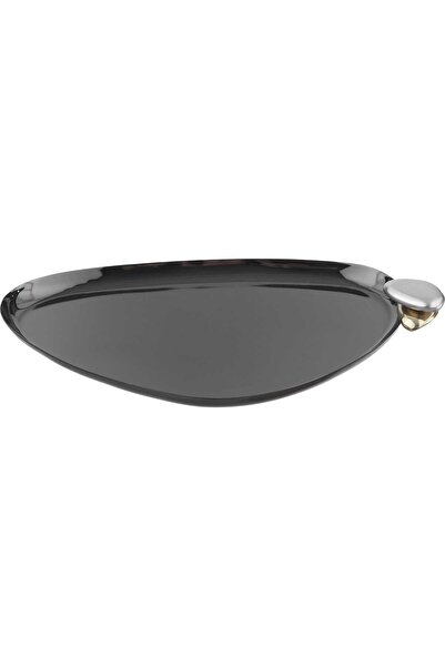 Generic AlSaif Gallery Steel Serving Tray, 25 x 15 x 1 cm - Glossy Black