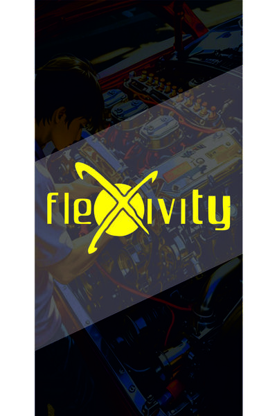sticker Flexivity 20X10 cm Flexivity Labels for Cars, Motors, Laptops with Ho...