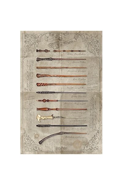 Pyramid International Maxi Poster Harry Potter (The Wand Chooses The Wizard)