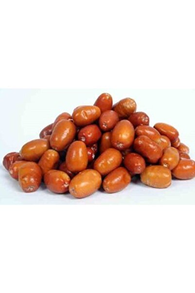 KIRINTI ÇEREZ Iğde 1 Kg TAZE YENİ MAHSÜL İĞDE