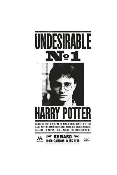 Warner Bros Harry Potter Undesirable No 1 Harry Potter Poster 50x70 cm