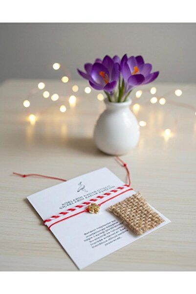 Nesel Atelier Marteniçka Bracelet Set - with Pouch and Seed Card - Spring Goo...