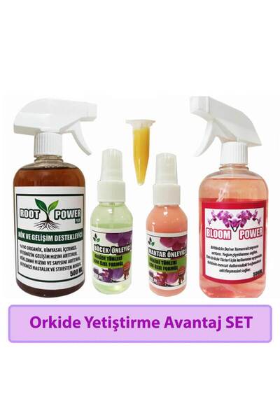 Orkide Yetiştirme - Avantaj SET