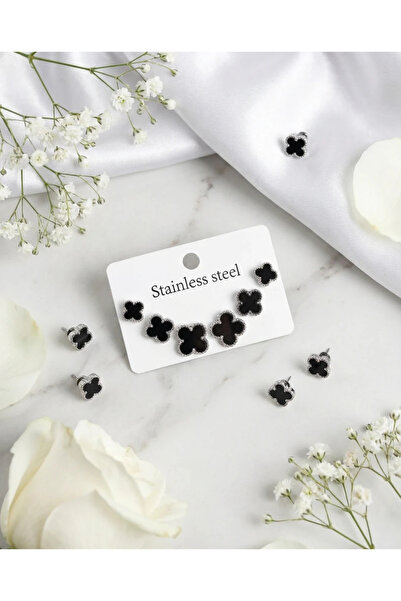 Dorvina 316L Steel Silver Black Color 3 Sizes Clover Earrings Set