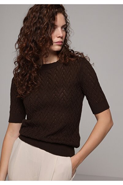 Colin's Slim Fit Women's Brown Sweater