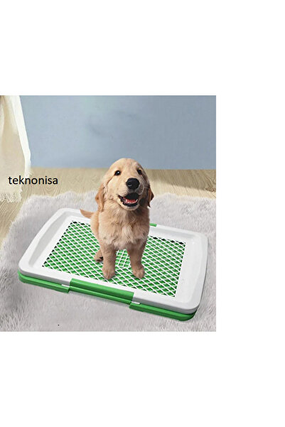 KÖPEK ÇİŞ EĞİTİM MATI 51X35