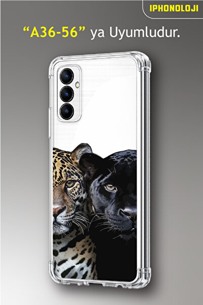 Caseji حافظة هاتف سامسونج A36-A56 متوافقة مع نمط الفهد الشفاف المطبوع والمقاو...