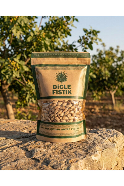 dicle tarım Dicle Fıstık 1 Kg Duble Kavrulmuş Antep Fıstığı – Yeni Mahsul