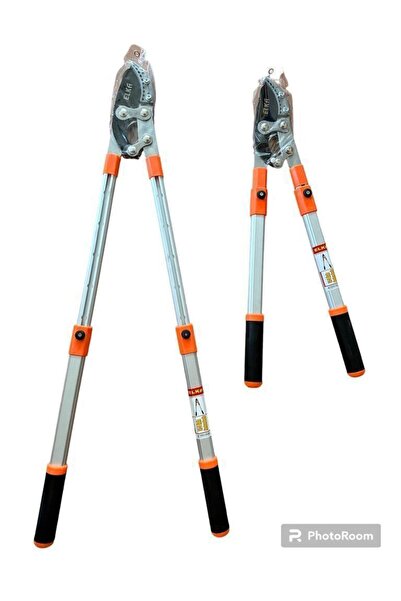 ELKA UZAYAN DAL MAKASI