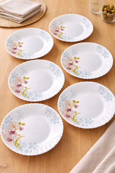 OEM Set of 6 Dinner Plates 24.15 cm, Floral Pattern with Orchids and Butterfl...