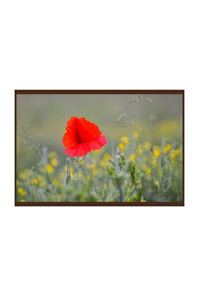 DRAGUS Panou radiant cu infraroșu, DRAGUS, personalizat 125/60cm 900W/700W