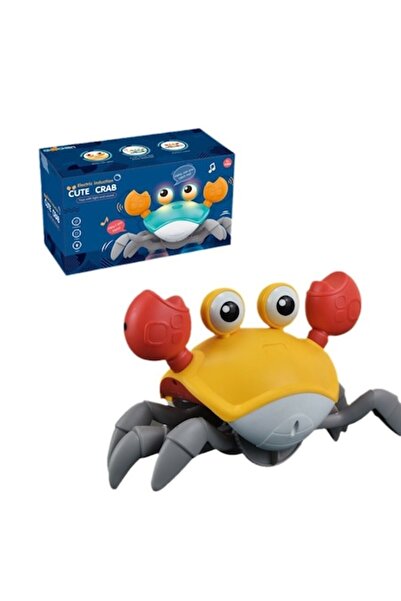 dalimag Interactive Toy for Babies, Music, Light, 23x14cm