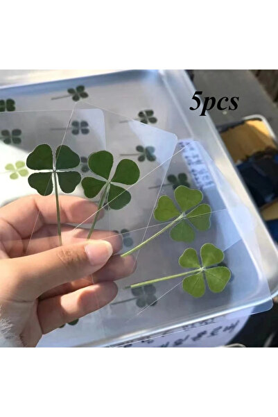 Choice1 green-5pcs New 1pc Lucky four leaf Clover Postcards Natural Grass Tra...