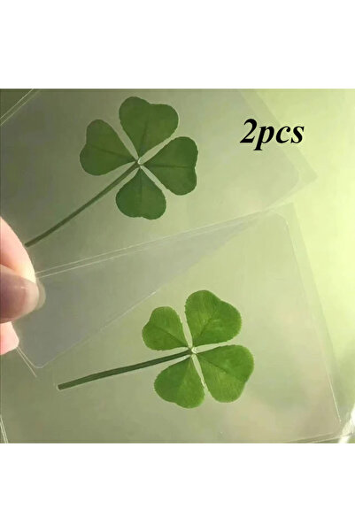 Choice4 green-2pcs New 1pc Lucky four leaf Clover Postcards Natural Grass Tra...