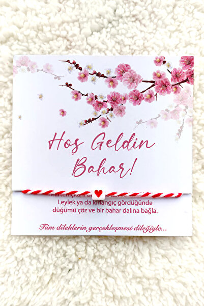 Artcrelier Marteniçka Bileklik Kartlı Bileklik Şans Bilekliği Kırmızı Beyaz İ...