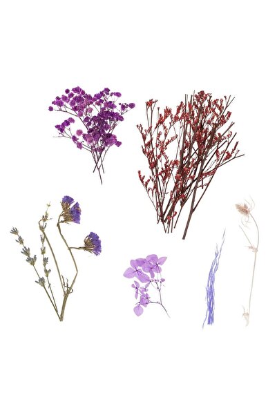 OEM Flori Uscate Mov Lila pentru Creatii 20g