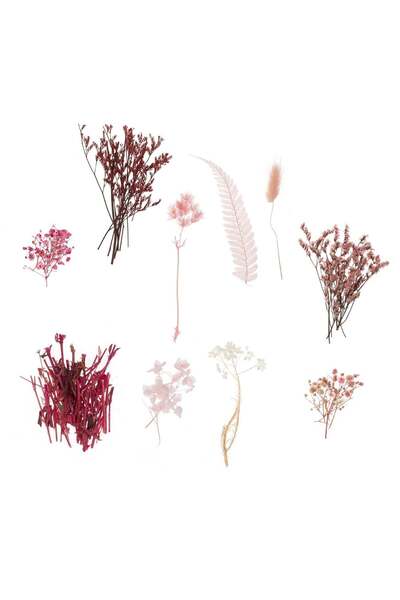 OEM Сушени розови цветя от фуксия за творения 20 г