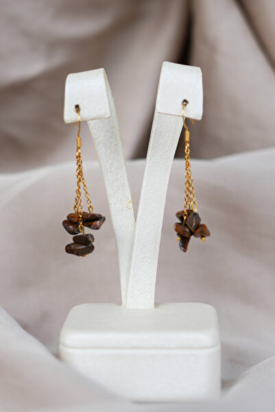 Luna Tiger's Eye Natural Stone Steel Earrings