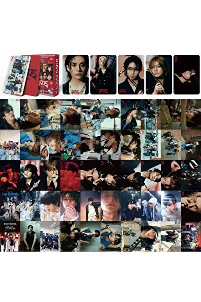 Choice ٥٥ بطاقة لومو من مجموعة ستراي كيدز ذا دومينيت إكسبيرينس، ألبوم ستيب آو...