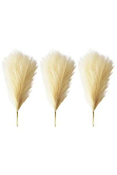 MaffStuff Artificial pampas grass beige 43.5 x 15 cm 3 strands