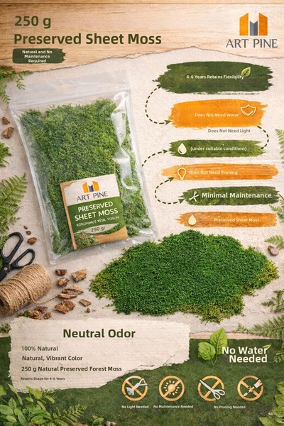 ART PINE طحالب خضراء مصدمة - فاخرة - طحالب محفوظة - 250 جرام. الطحالب الحية ل...