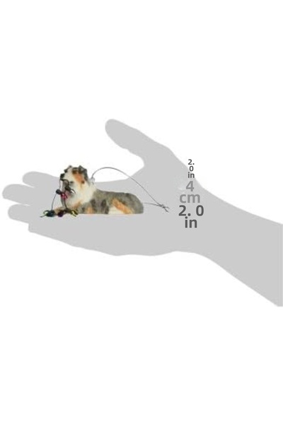 Nacario Nrcrioshop Sandicast Ornament, Blue 1201248