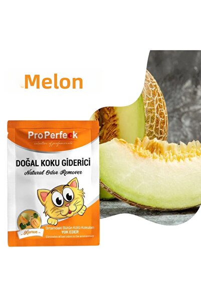 CT STONES برو بيرفيكت برائحة البطيخ 25 جرام